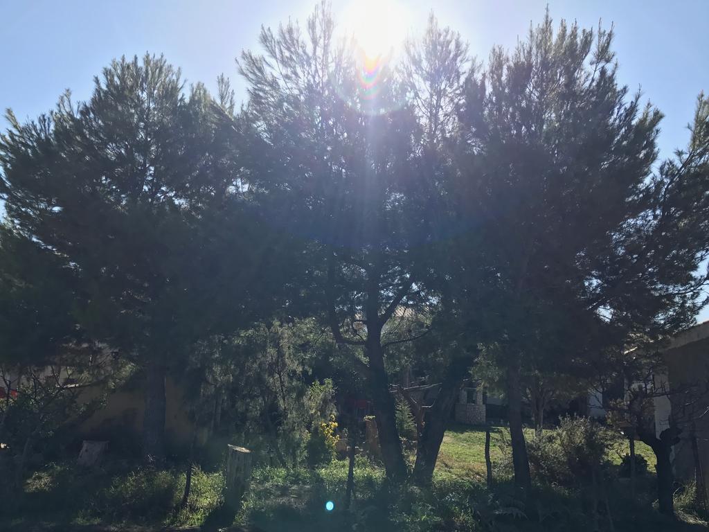 Casa Rural La Granja Letur Eksteriør bilde